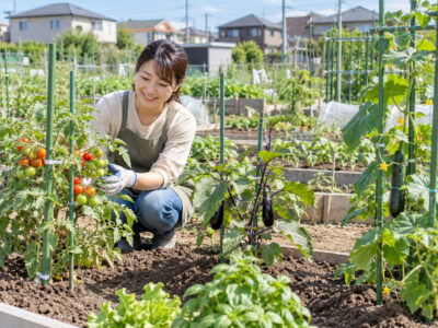 市民農園の利用者を募集します