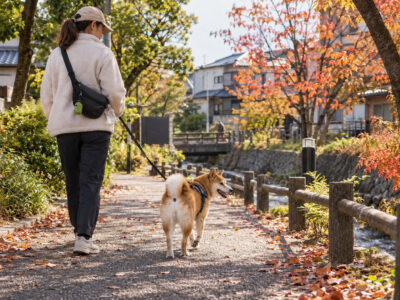 ペットの飼育マナーについてのお願い